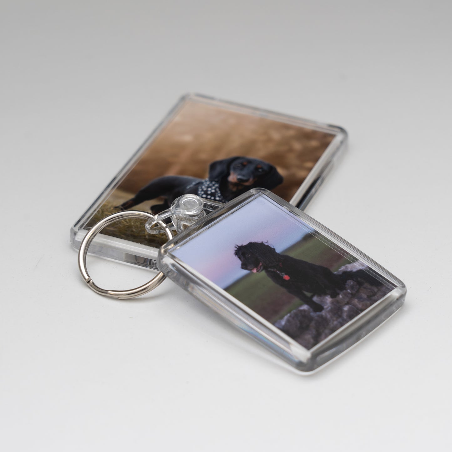 Photo Magnet